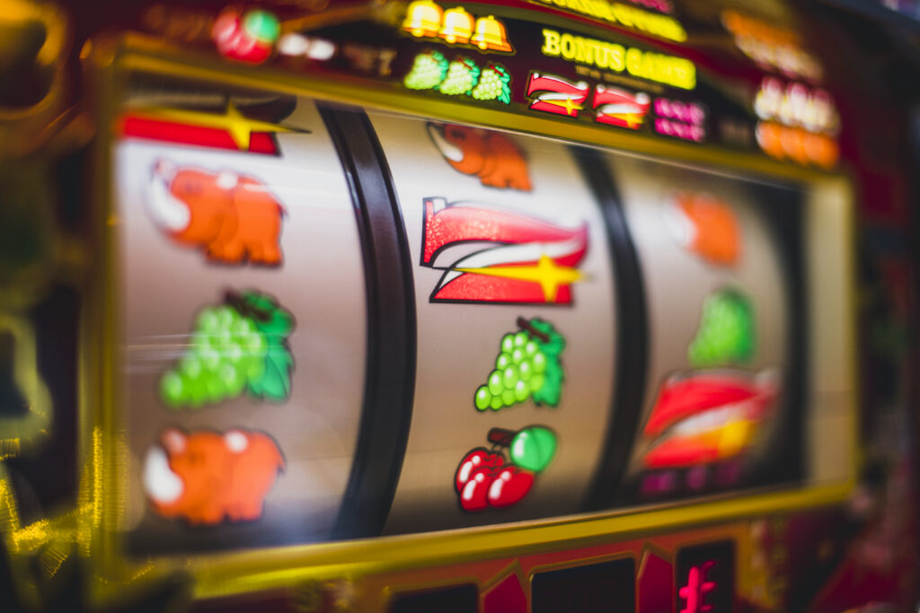 vinder casino